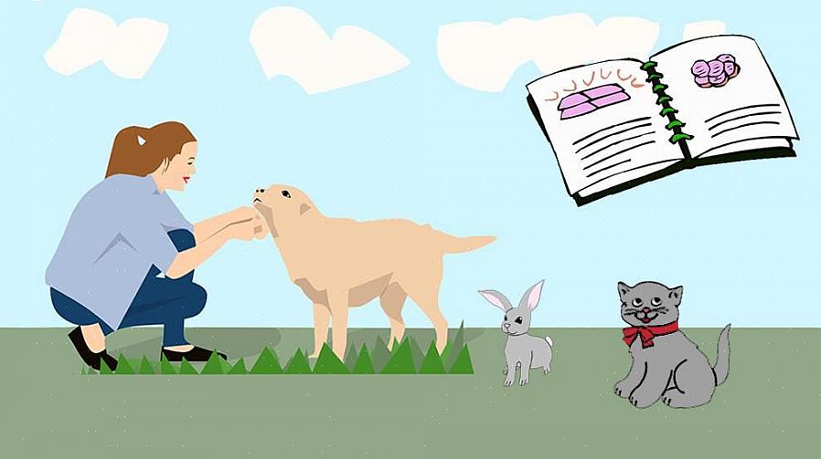 Visite sites criados especificamente para incentivar a adoção de animais