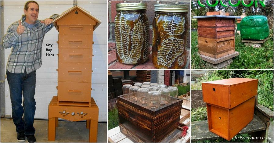 O mel de abelha ocidental (Apis mellifera) são as espécies mais comumente utilizadas criadas
