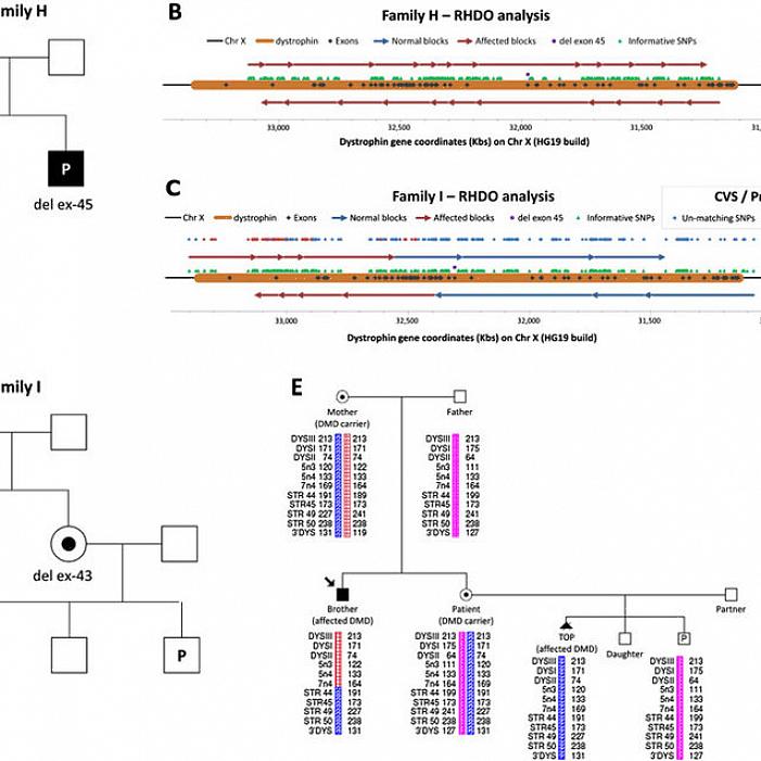 Geralmente é fácil fazer um diagrama da árvore genealógica até três gerações antes de você