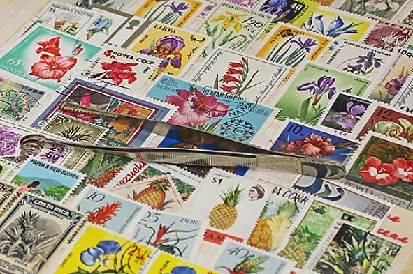 Muitas pessoas que começam uma coleção de selos começam a procurar selos incomuns
