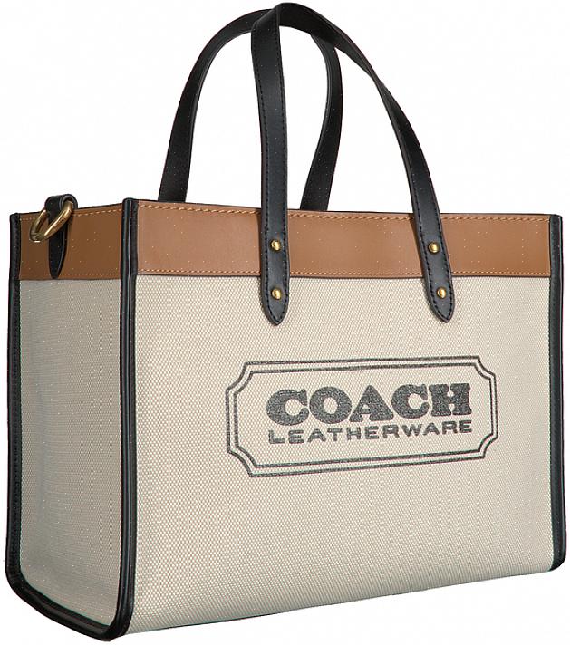 Mas agora você finalmente tem aquela bolsa de grife Coach