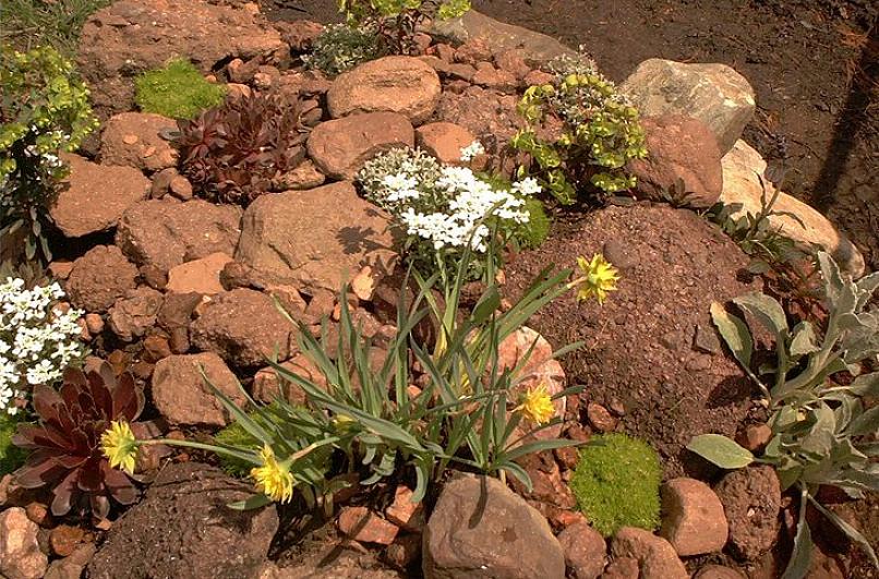 Muitas pessoas gostam de construir um jardim de pedras em uma encosta