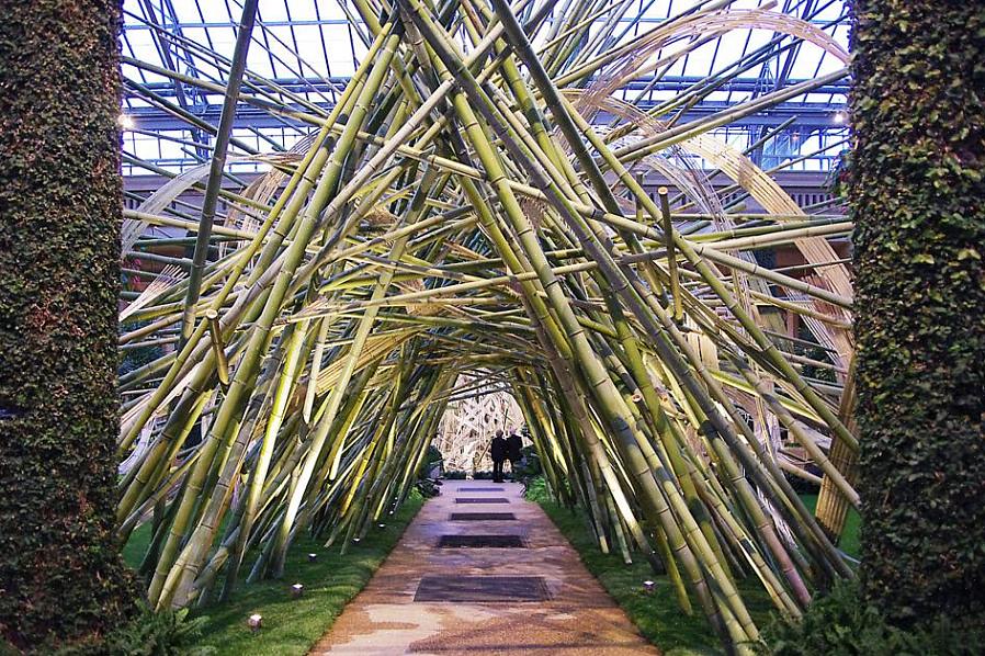 Adicionar uma atração de jardim de bambu cria uma aparência única