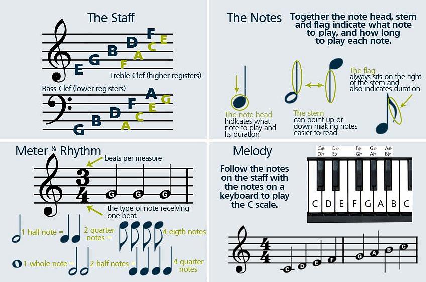 Observe que a partitura tem cinco linhas horizontais com linhas verticais por toda parte