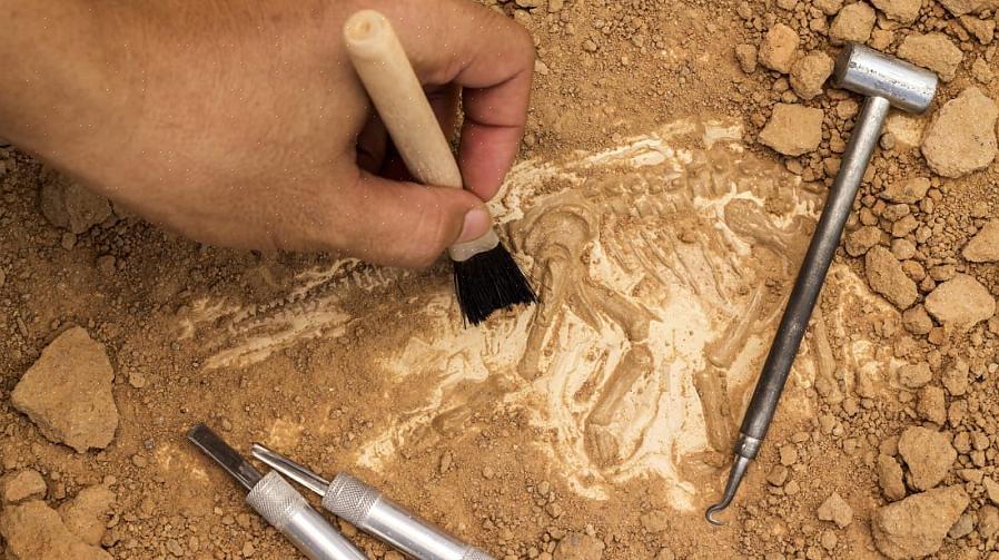 As escavações arqueológicas geralmente envolvem arqueólogos profissionais