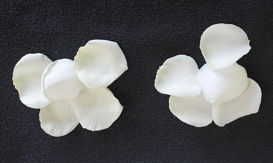 É fácil fazer suas próprias pétalas de flores de seda