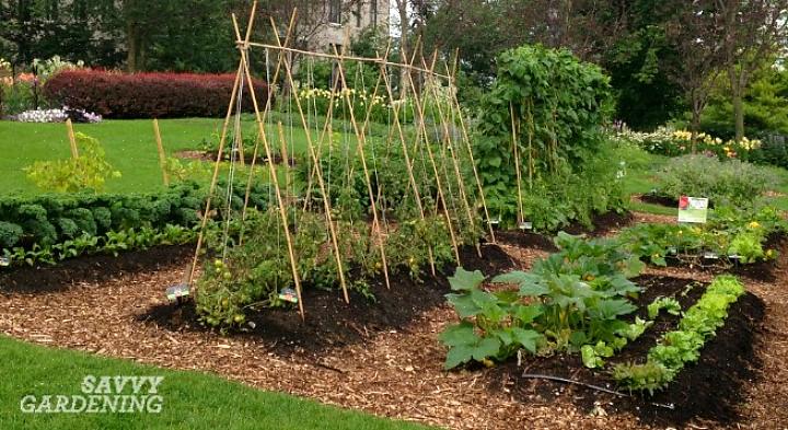 Aqueles que têm jardins em contêineres podem fazer algo para consertar o projeto do jardim
