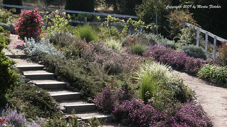 É bem possível ter um lindo jardim no sul da Califórnia