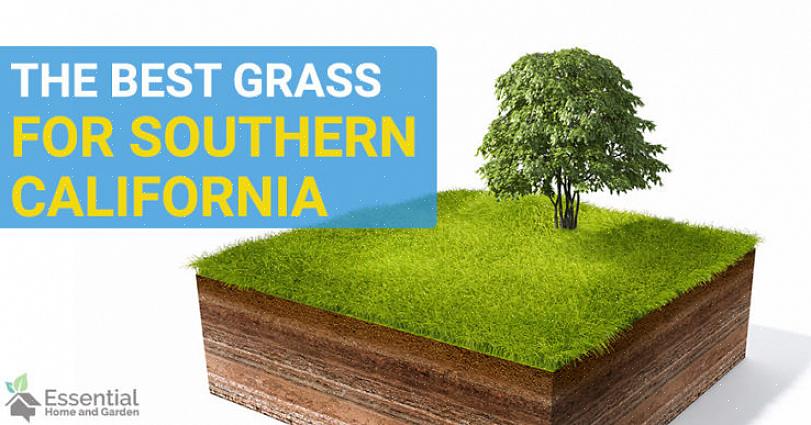 Existem tantas maneiras que você pode empregar para criar um jardim espetacular no sul da Califórnia