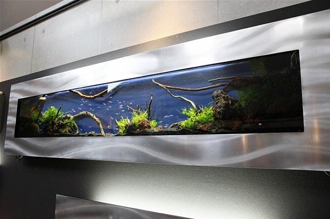 A instalação de um aquário na parede pode exigir os serviços de um carpinteiro profissional