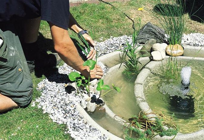 Acrescente areia nas lacunas restantes entre o tanque