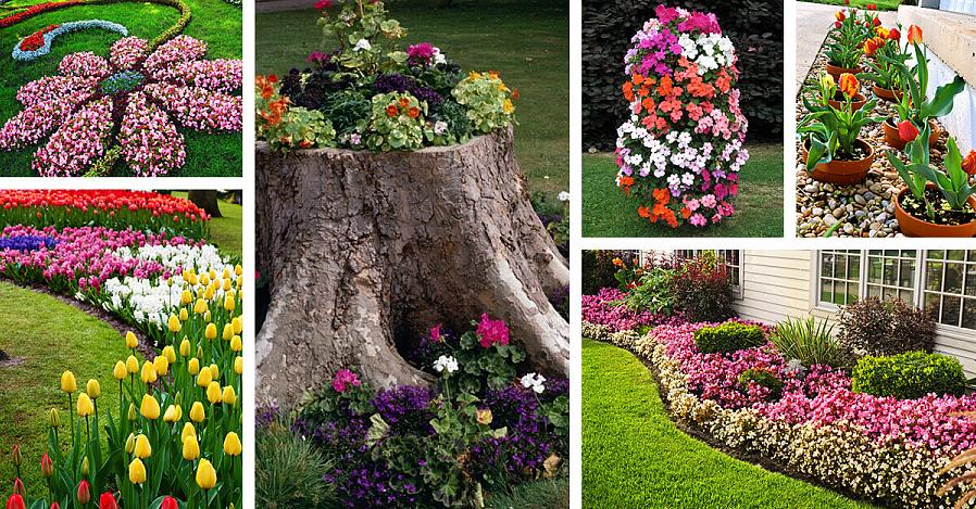 Todos esses fatores contribuem para o tipo de planta que você poderá usar em seu canteiro de flores