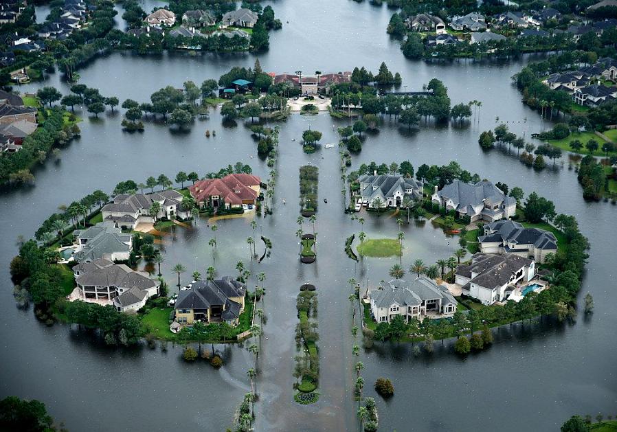 Aqui estão algumas dicas sobre como manter uma paisagem no norte do Texas durante o mês de fevereiro