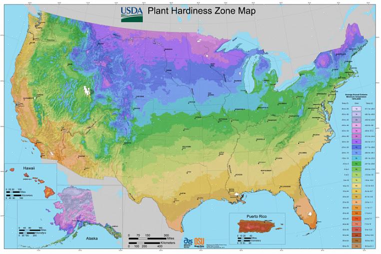 A maioria dos jardineiros está familiarizada com o Mapa das Zonas de Temperatura do Departamento