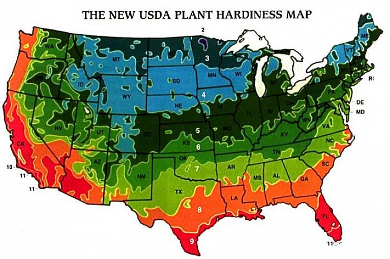 Usando o mapa da zona de robustez de plantas do USDA para encontrar a zona em que vivem