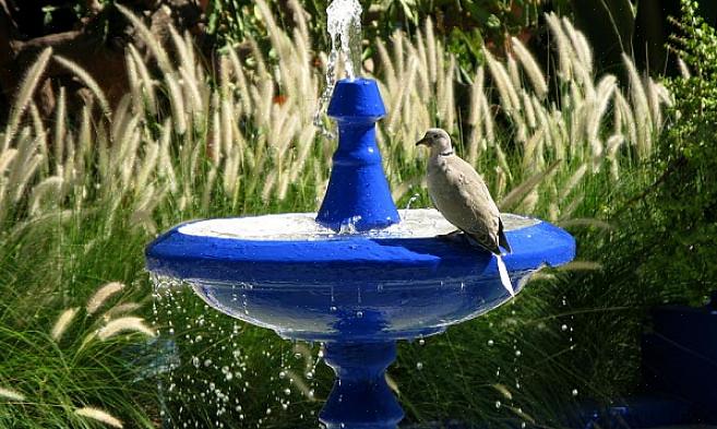 O primeiro que você precisa considerar é se você deseja obter o banho de pássaros alimentado por energia