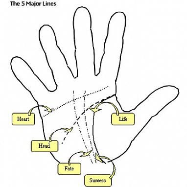 Você conseguirá ler as palmas das mãos com um pouco de prática