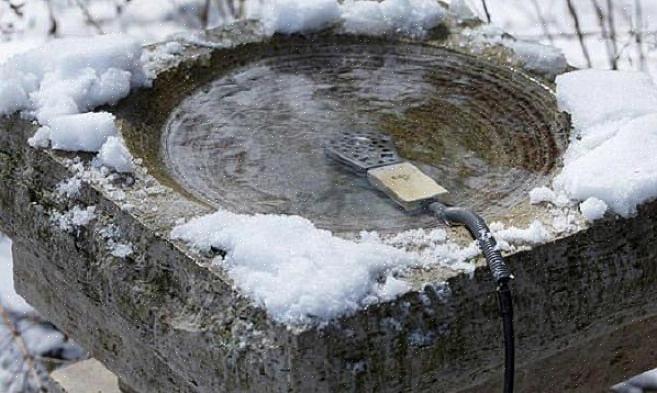 Um aquecedor de banho para pássaros é um aquecedor de formato circular que você pode colocar dentro