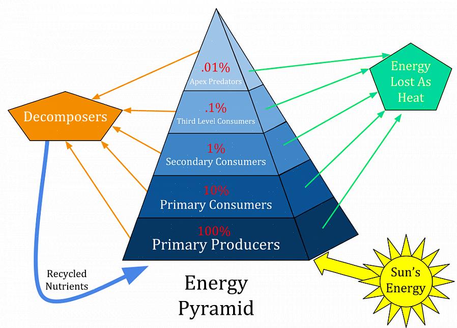 A energia da pirâmide também foi eficaz na cura de cortes
