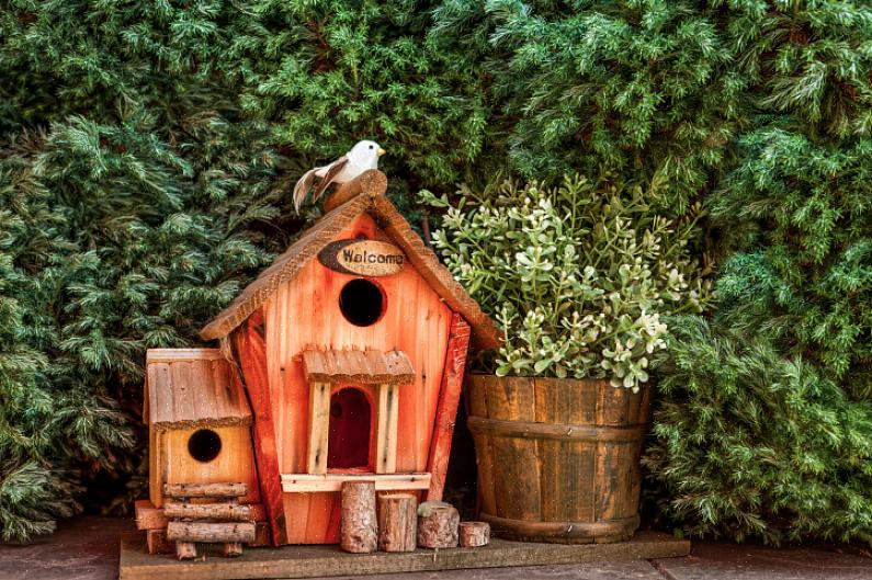 Agora você tem uma casa de pássaros decorativa adorável