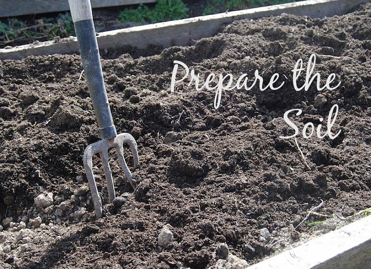 Você precisa alterar o nível de pH do seu solo com base nos resultados do teste de solo