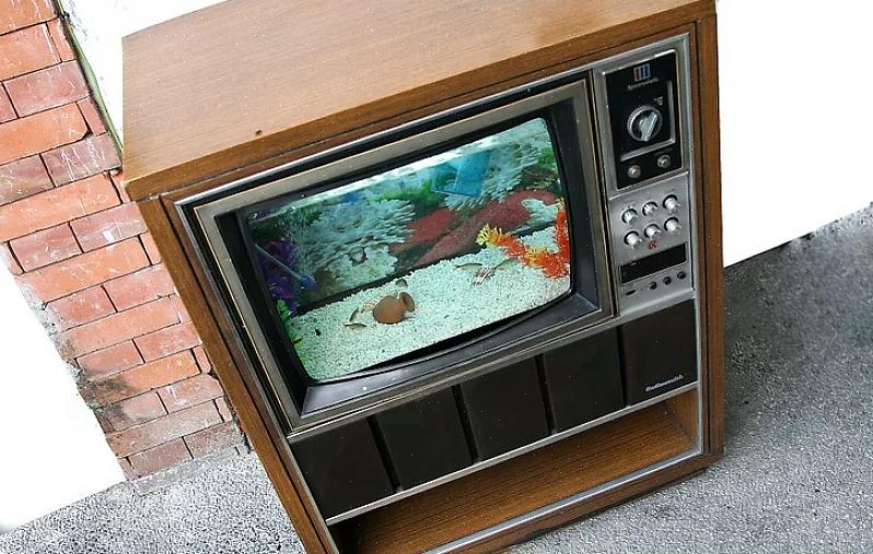 Mas é possível fazer um aquário com qualquer TV de tubo antiga
