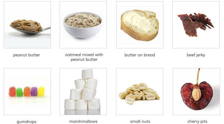 Muitas pessoas concordam que a manteiga de amendoim é a melhor isca para uma ratoeira