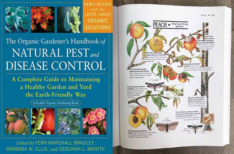 A boa maneira de fazer as melhores compras em seus livros de jardinagem orgânica é preencher as lacunas