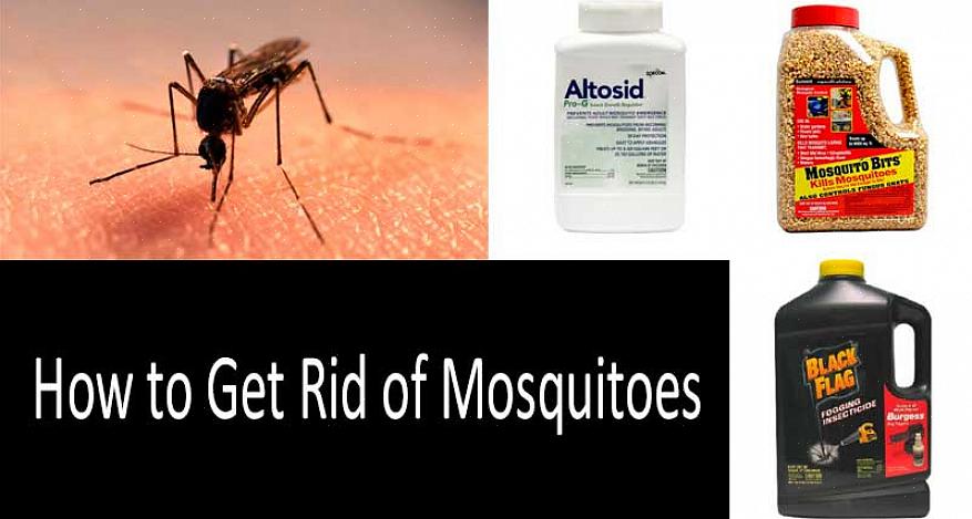 Além de se livrar dos mosquitos