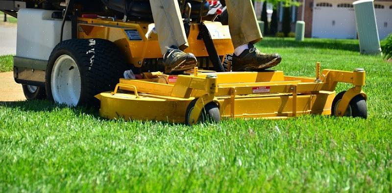 Leia comentários sobre serviços de gramado para encontrar a melhor empresa de manutenção de gramado