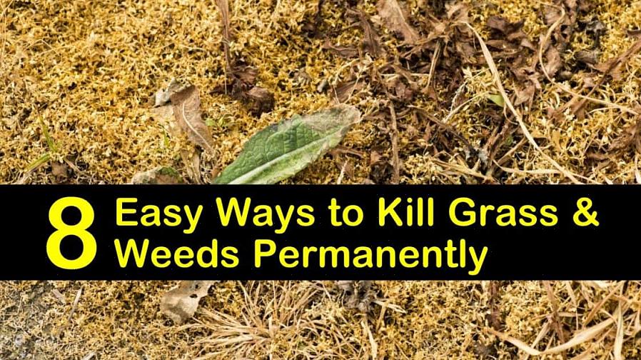Ecológicas de matar a grama