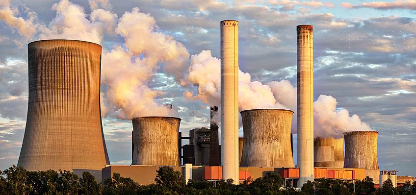 O que é importante para salvar o meio ambiente é que façamos essas coisas todos os dias