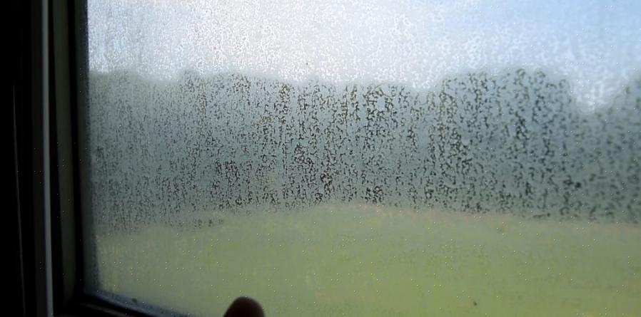 Lave novamente suas janelas usando água limpa da torneira para remover o resíduo restante das manchas