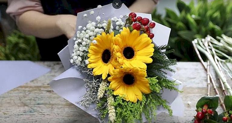 As margaridas Gerbera ou Gerber são ideais para arranjos de flores em recipientes