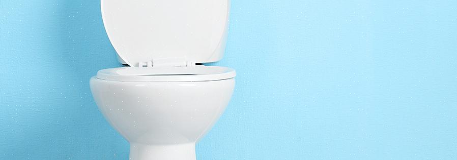 Use o cotonete do vaso sanitário para limpar sob a borda do vaso sanitário