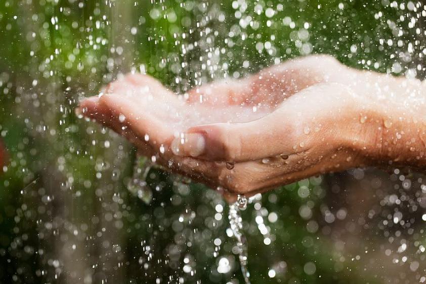 Coletar a água da chuva pode ser tão fácil quanto colocar um recipiente sob a calha do telhado para coletar