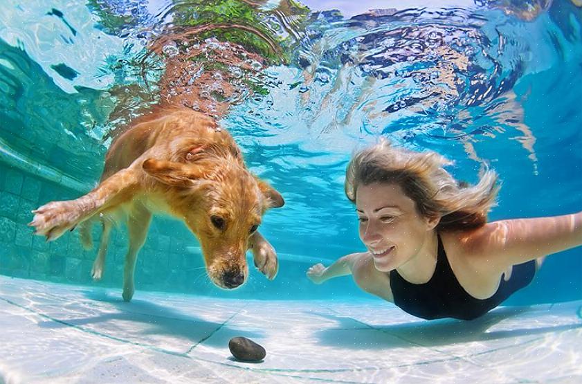 Você pode começar a converter sua piscina em uma piscina de água salgada adicionando sal