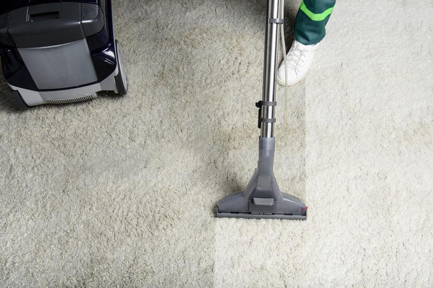 Alugue um limpador de carpete ou compre uma máquina de limpeza