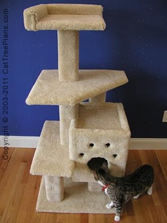 Para construir uma árvore de gato
