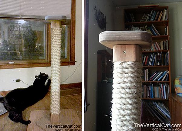 Um poste para arranhar corda de sisal é uma ferramenta divertida para o seu gato