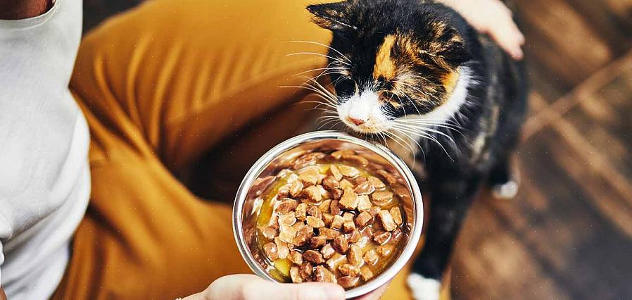 Uma das coisas que você deve chamar a atenção é a comida