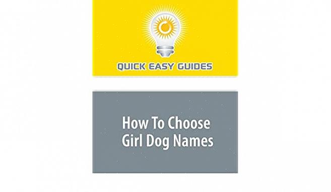 Dar um nome à sua filhinha é uma das escolhas mais importantes que você fará como dono de um cachorro