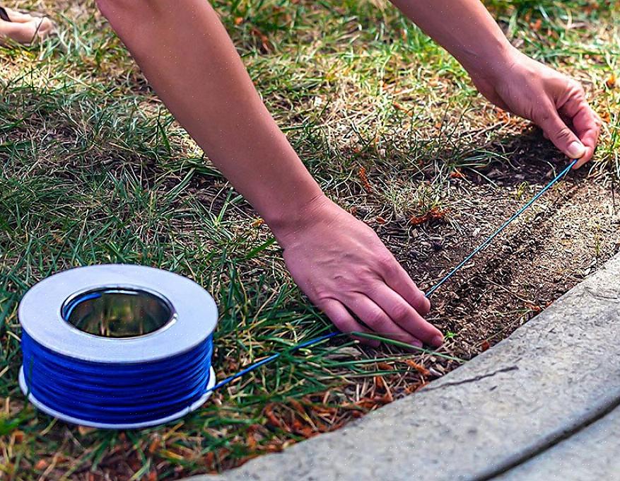 Antes de instalar uma cerca elétrica invisível para cães