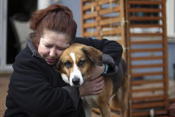 Coloque-o para adoção para que outra pessoa possa dar ao seu animal de estimação os cuidados que ele merece