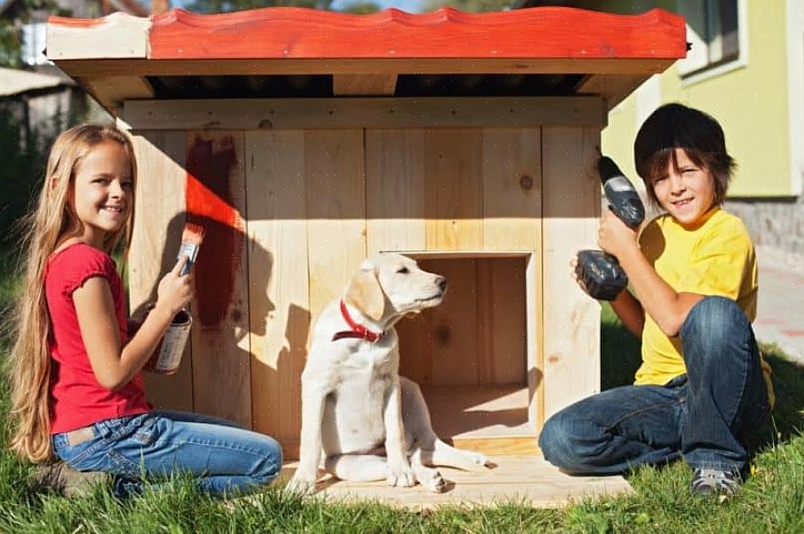 Você pode optar por comprar kits de casinha de cachorro especialmente feitos que você só precisa montar