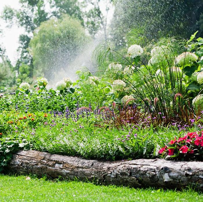 Veja como escolher o material de borda para o seu jardim