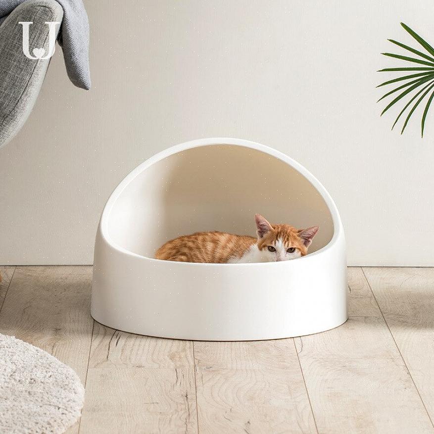 Seu gato se empoleirará automaticamente no assento do vaso sanitário