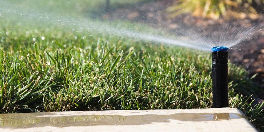 É sempre aconselhável trazer alguns sprinklers sobressalentes para o caso de você descobrir que alguns