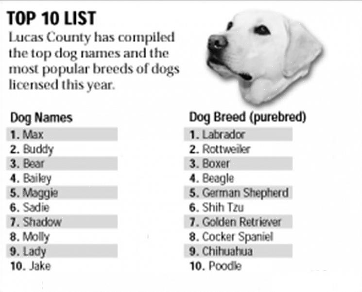 Visite Geo cities para obter uma lista abrangente de nomes de cães alemães
