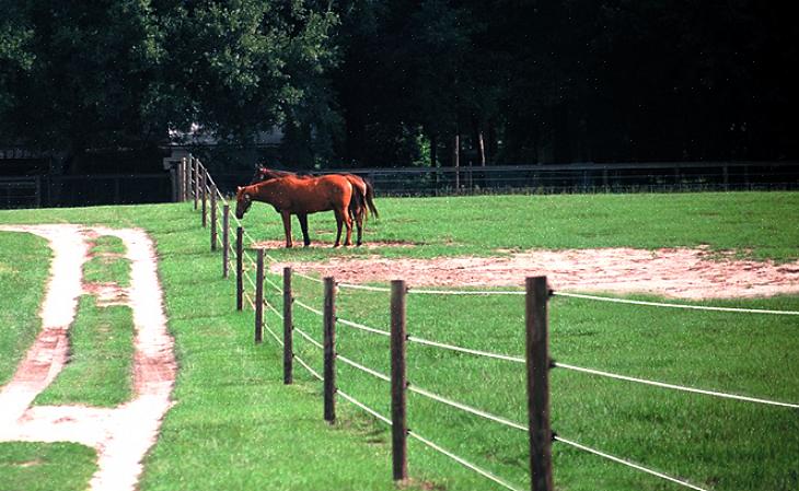 Estas são as instruções que você pode seguir se quiser instalar uma cerca para cavalos em seu celeiro